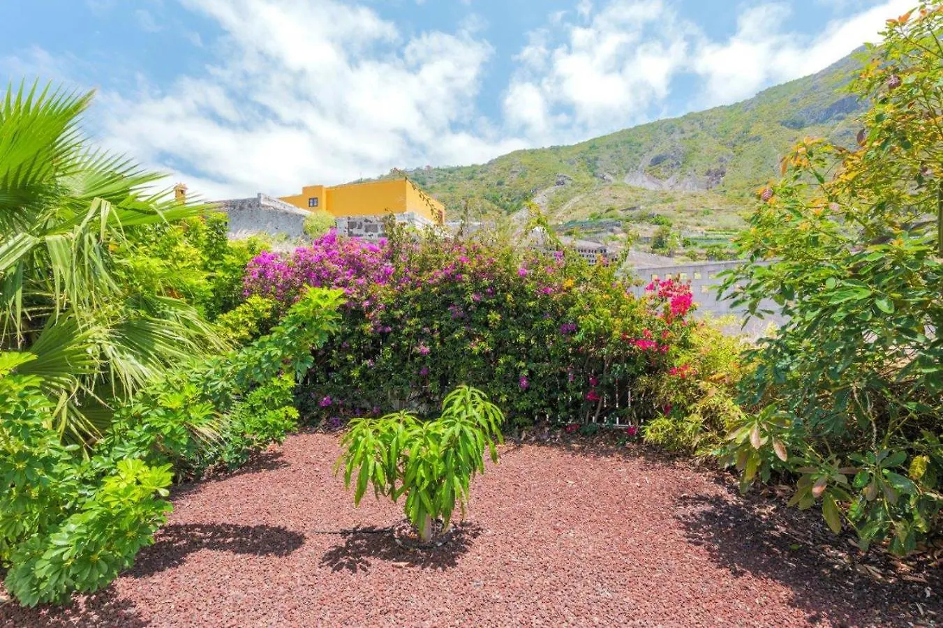 Las Pardelas, Ferienhaus Mit Meer-, Kuesten- Und Bergblick Im Gruenen Norden Teneriffas Las Cruces  Las Cruces (Canary)